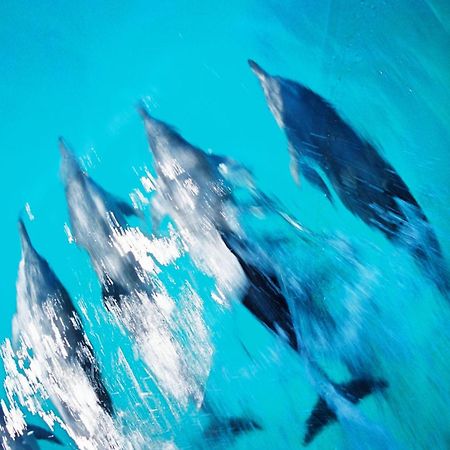 Отель Nova Pousada Golfinho Фернанду-ди-Норонья Экстерьер фото